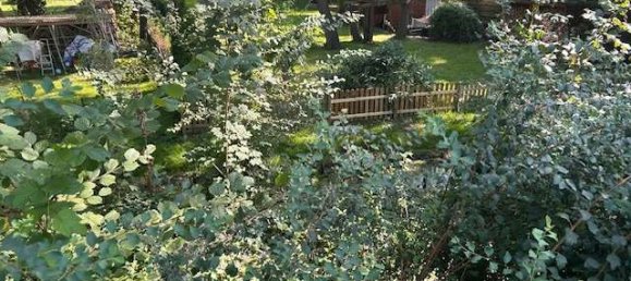 Grundstück in Dahme-Spreewald, Germany, Nr. 35582 3