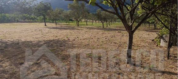 3 Schlafzimmer Haus in San Lorenzello, Italy, Nr. 293549 13