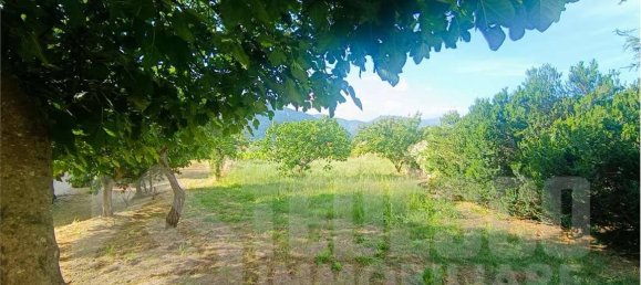 3 Schlafzimmer Haus in San Lorenzello, Italy, Nr. 293549 5