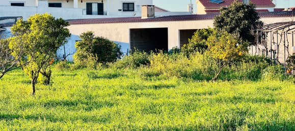 4 Schlafzimmer Villa in Entroncamento, Portugal, Nr. 119570 23