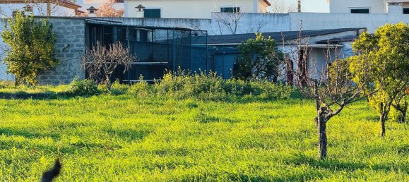 4 Schlafzimmer Villa in Entroncamento, Portugal, Nr. 119570 22