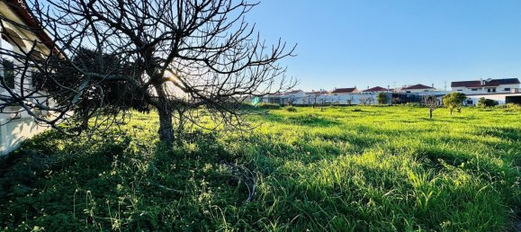 4 Schlafzimmer Villa in Entroncamento, Portugal, Nr. 119570 20