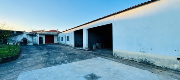 4 Schlafzimmer Villa in Entroncamento, Portugal, Nr. 119570 35