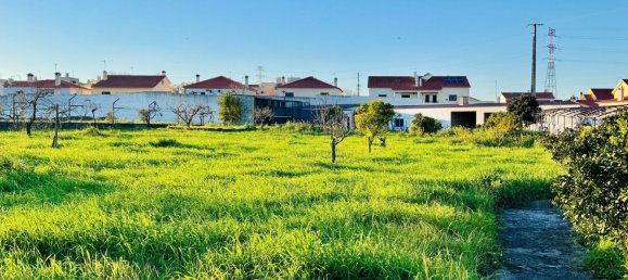 4 Schlafzimmer Villa in Entroncamento, Portugal, Nr. 119570 18