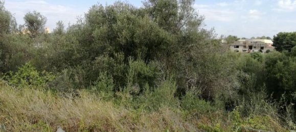 Grundstück in Pachino, Italy 3750m², Nr. 66631 3