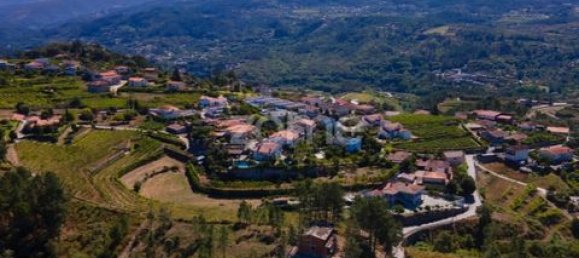 Terrain à Amarante, Portugal No. 151826 11