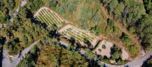 Terrain à Amarante, Portugal No. 151826 21