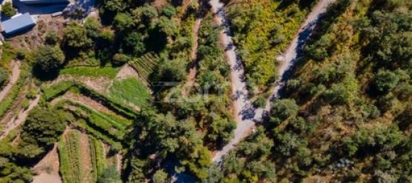 Terrain à Amarante, Portugal No. 151826 45