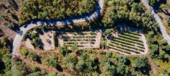 Terrain à Amarante, Portugal No. 151826 28