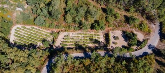 Terrain à Amarante, Portugal No. 151826 22