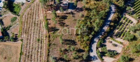 Terrain à Amarante, Portugal No. 151826 10