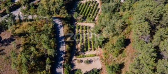 Terrain à Amarante, Portugal No. 151826 17