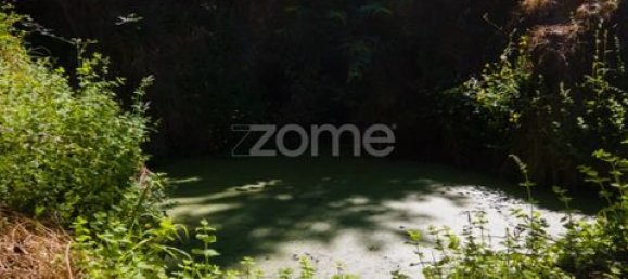 Terrain à Amarante, Portugal No. 151826 31