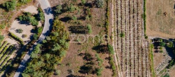 Terrain à Amarante, Portugal No. 151826 7