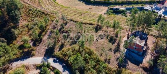 Terrain à Amarante, Portugal No. 151826 6