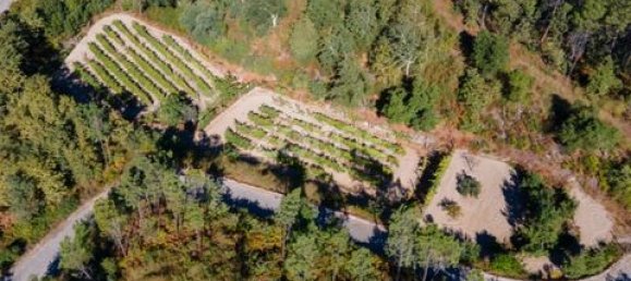 Terrain à Amarante, Portugal No. 151826 20