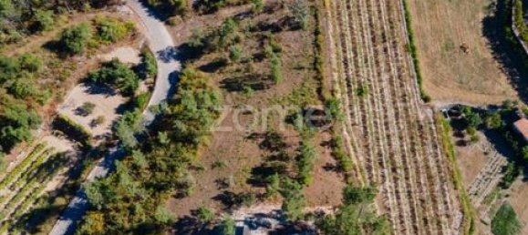 Terrain à Amarante, Portugal No. 151826 8