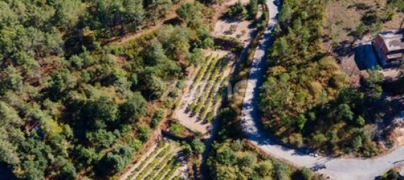 Terrain à Amarante, Portugal No. 151826 25