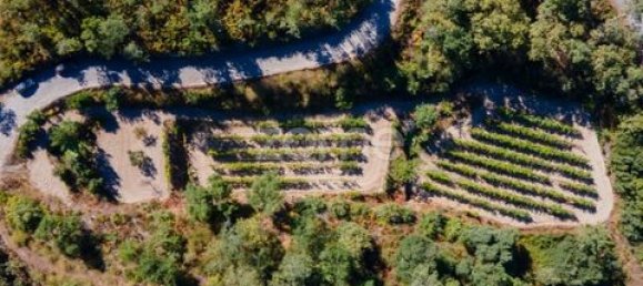 Terrain à Amarante, Portugal No. 151826 27