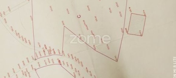 Terrain à Amarante, Portugal No. 151826 12