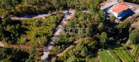 Terrain à Amarante, Portugal No. 151826 40