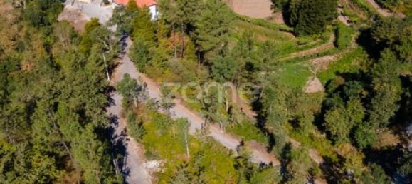 Terrain à Amarante, Portugal No. 151826 36