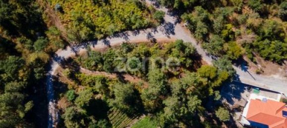 Terrain à Amarante, Portugal No. 151826 43