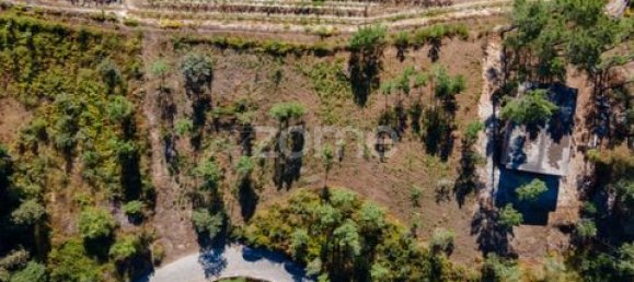 Terrain à Amarante, Portugal No. 151826 13