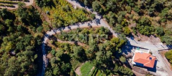 Terrain à Amarante, Portugal No. 151826 44