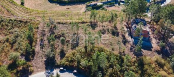 Terrain à Amarante, Portugal No. 151826 3