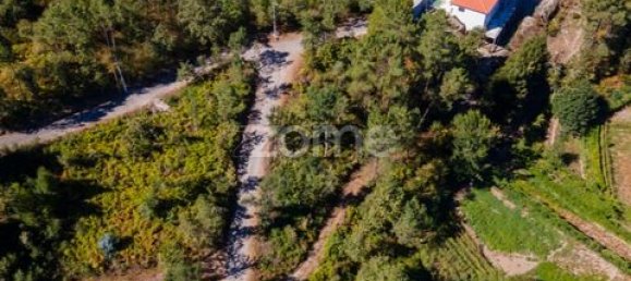 Terrain à Amarante, Portugal No. 151826 38