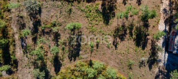 Terrain à Amarante, Portugal No. 151826 5