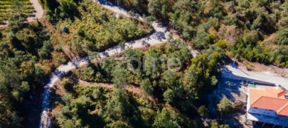 Terrain à Amarante, Portugal No. 151826 42