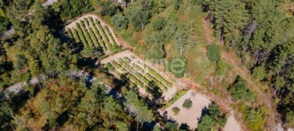 Terrain à Amarante, Portugal No. 151826 33