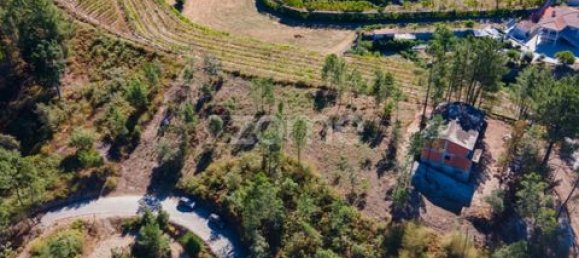 Terrain à Amarante, Portugal No. 151826 4