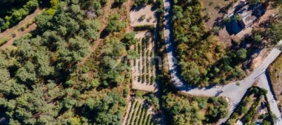 Terrain à Amarante, Portugal No. 151826 29