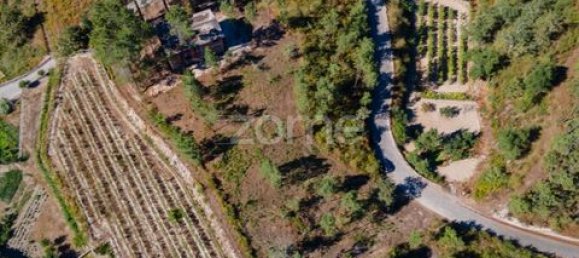 Terrain à Amarante, Portugal No. 151826 14