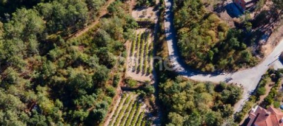 Terrain à Amarante, Portugal No. 151826 34