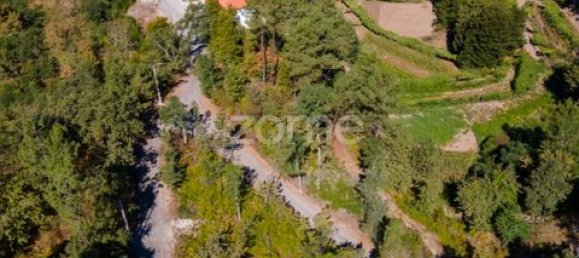 Terrain à Amarante, Portugal No. 151826 35