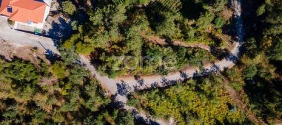 Terrain à Amarante, Portugal No. 151826 46