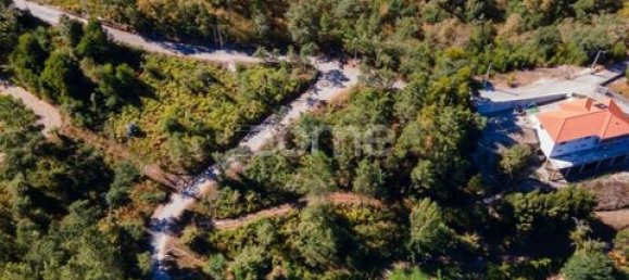 Terrain à Amarante, Portugal No. 151826 41