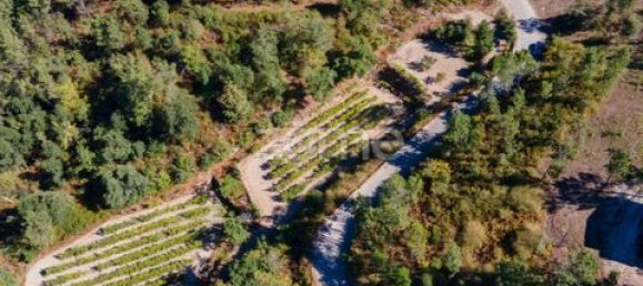 Terrain à Amarante, Portugal No. 151826 24