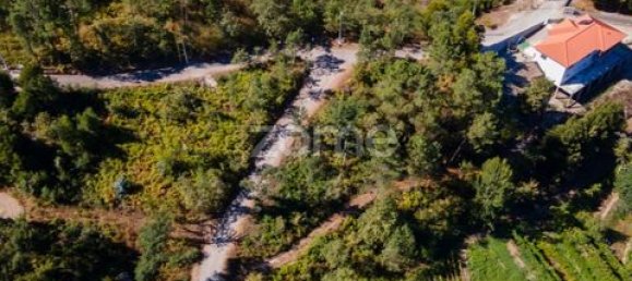 Terrain à Amarante, Portugal No. 151826 39