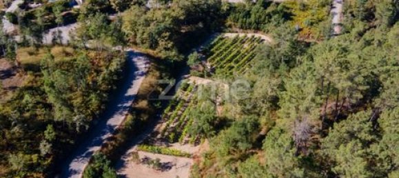 Terrain à Amarante, Portugal No. 151826 16