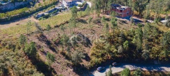 Terrain à Amarante, Portugal No. 151826 2