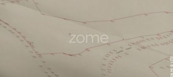 Terrain à Amarante, Portugal No. 151826 32