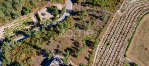 Terrain à Amarante, Portugal No. 151826 9