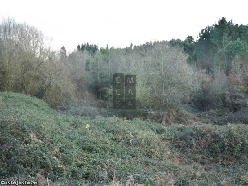 38500m² Land in Santa Maria da Feira, Portugal No. 80148