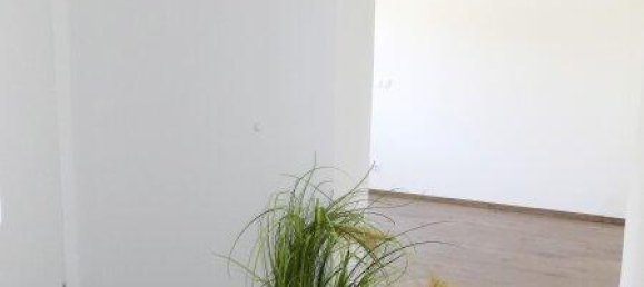 Casa de 4 divisões em Gnadendorf, Austria N.º 229846 15