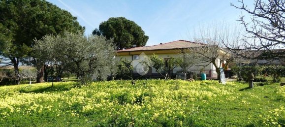 3 غرف نوم فيلا في Scanzano Jonico, Italy رقم 114428 16